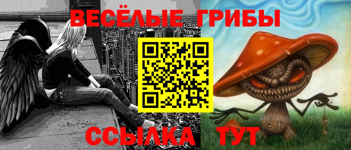 купить наркотик  Вход с VPN  Ишимбай  Псилоцибиновые грибы Cubensis 