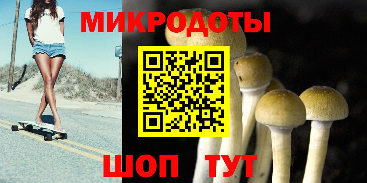 Галлюциногенные грибы мицелий Ишимбай